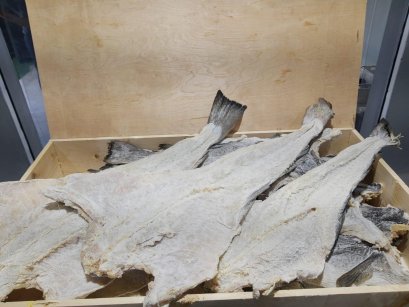 peça bacalhau.jpg